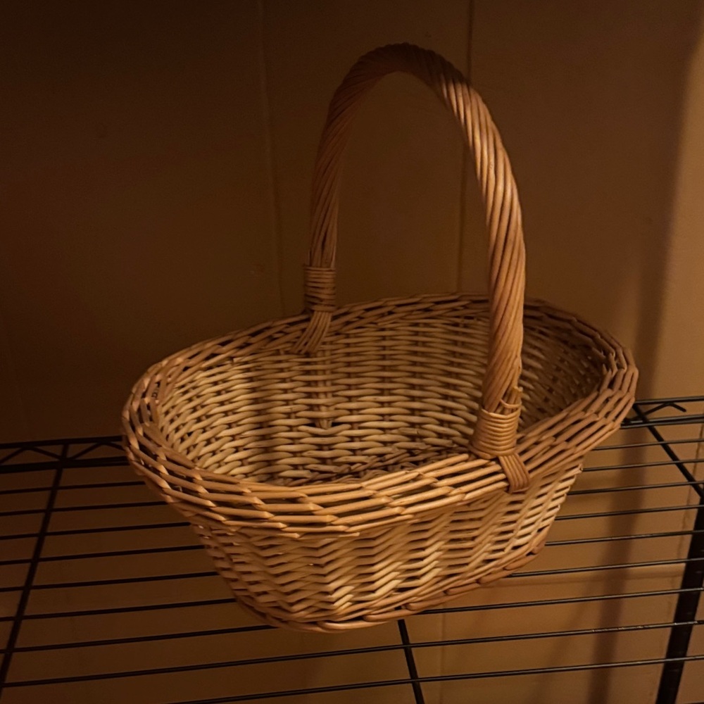 Woven Rattan Handled Basket - Natural Tan